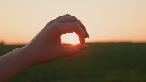 women's hands hold the disk of the sun, which sets over a field of wheat