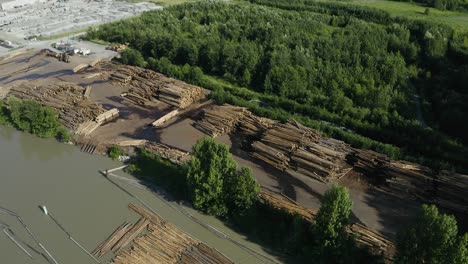 drone vista de la deforestación en américa del norte