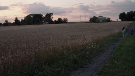 niños corriendo en un camino rural