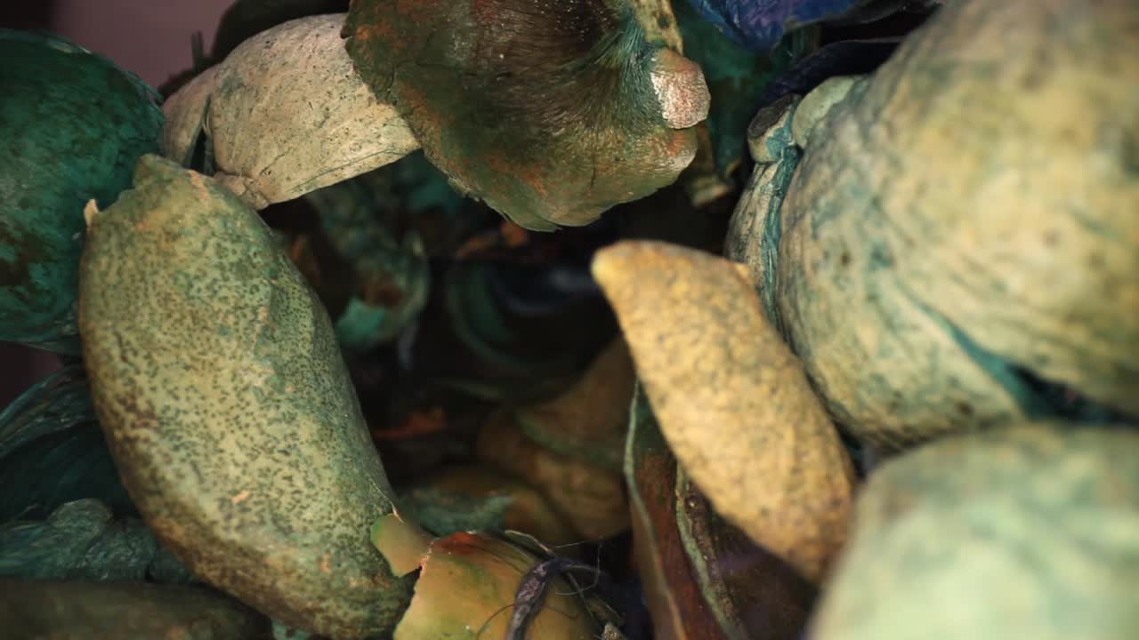 다채로운 포푸리 조각을 향해 천천히 이동