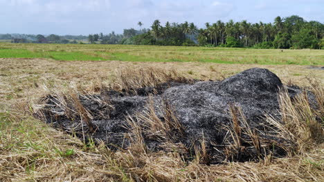 Residuos-De-Cultivos-Quemados-En-Un-Campo-Utilizados-Como-Fertilizante-Natural,-Causando-Contaminación-Del-Aire.