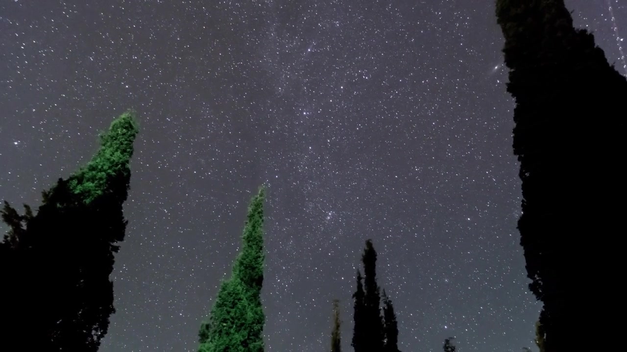 Timelapse de cipreses con estrellas