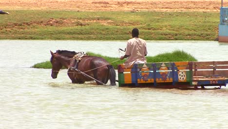 a man rides his horse pulling a cart across a river in mali africa