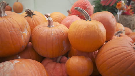 Hands-picking-up-orange-pumpkin