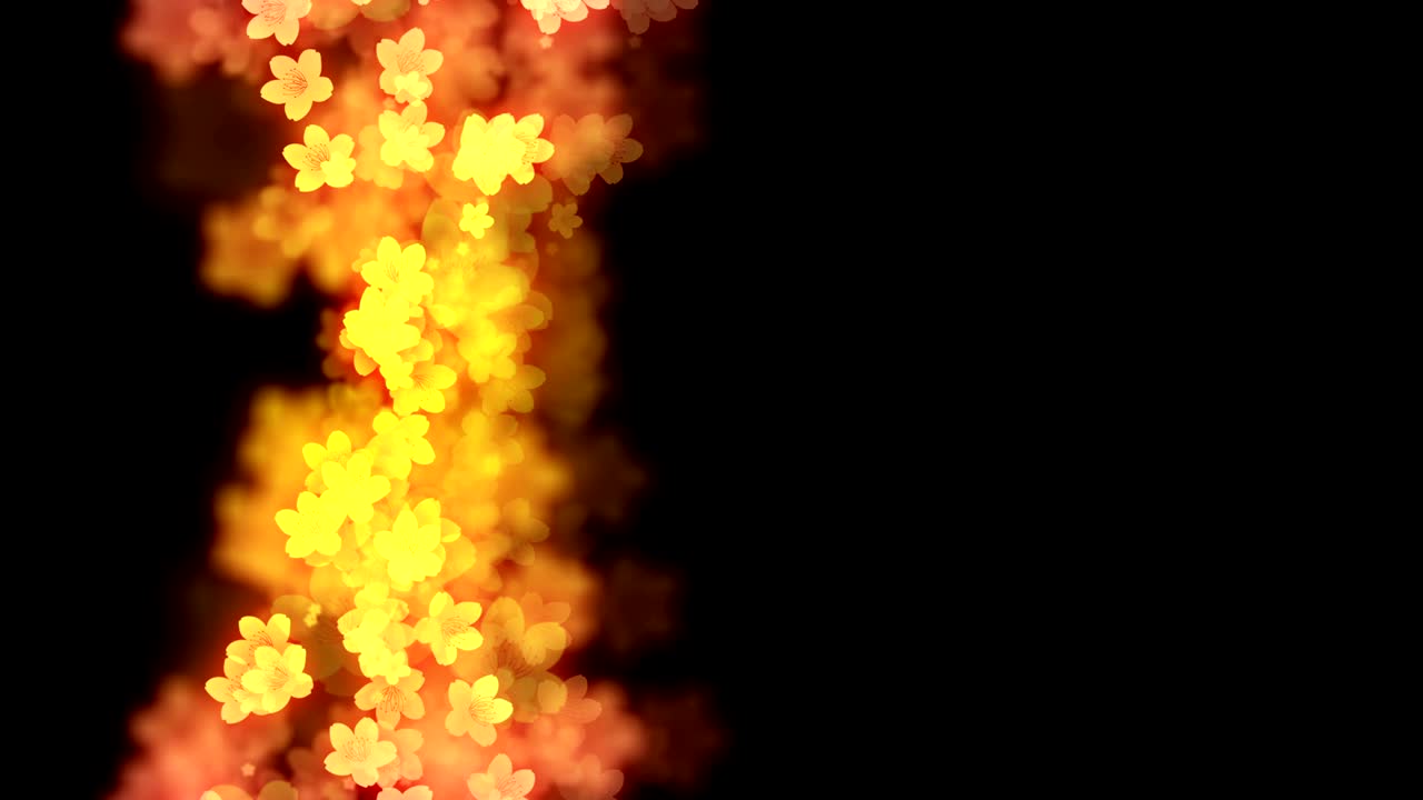 추상적인 보케 빛은 사후라 꽃 또는 체리 꽃 패턴, 핑크와 노란색 그라디언트 색상, 검은 바탕에 일러스트레이션, 직렬 루핑 애니메이션, 오른쪽 복사 공간과 함께 4k