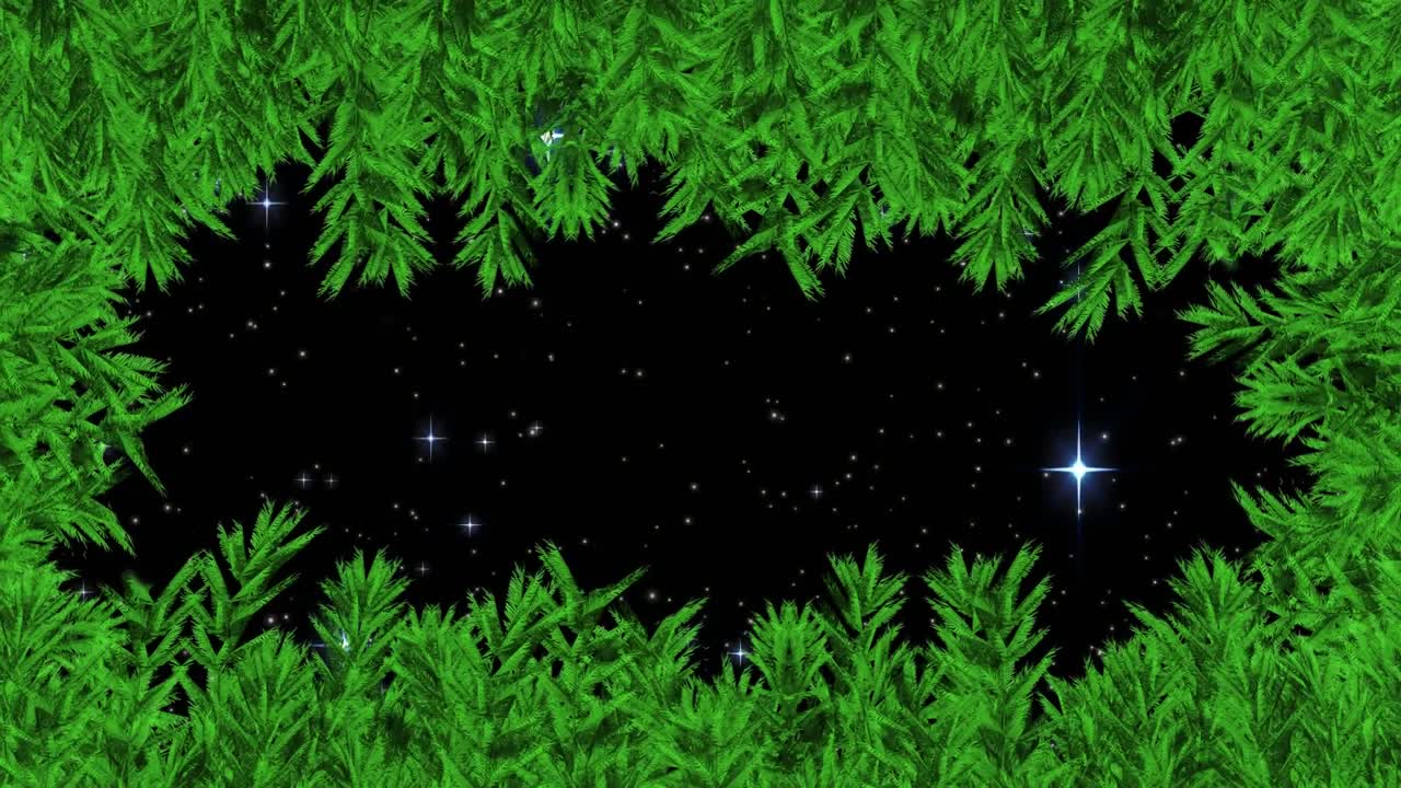 Animation of fir trees branches n over snow falling