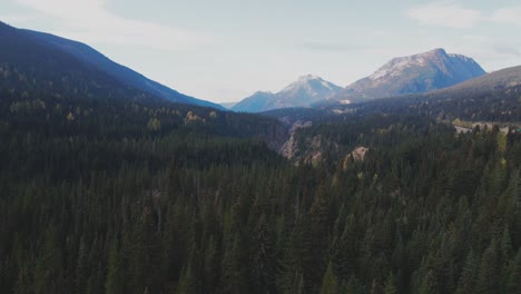 Impresionante-Vista-Aérea-Del-Bosque-Siempre-Verde-En-La-Cumbre-De-Coquihalla-En-Columbia-Británica-Canadá-Con-Hermosos-Picos-Montañosos-En-Un-Día-Soleado