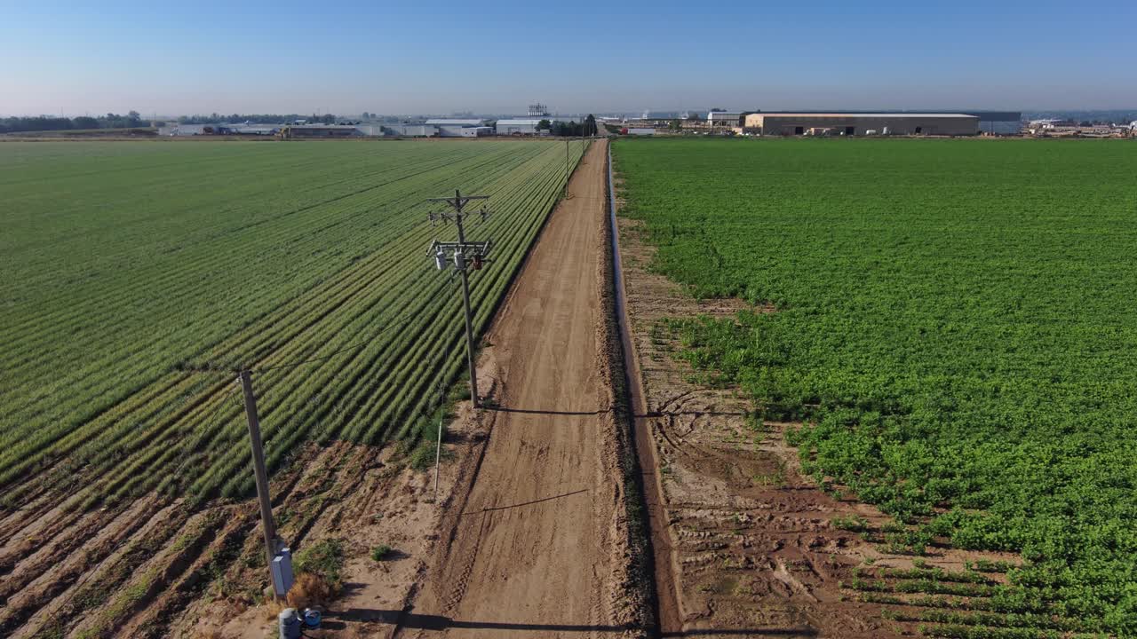 un camino de tierra entre campos de cultivos