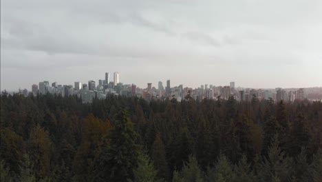 vancouver city skyline revealed above the trees in stanley park rising aerial drone shot