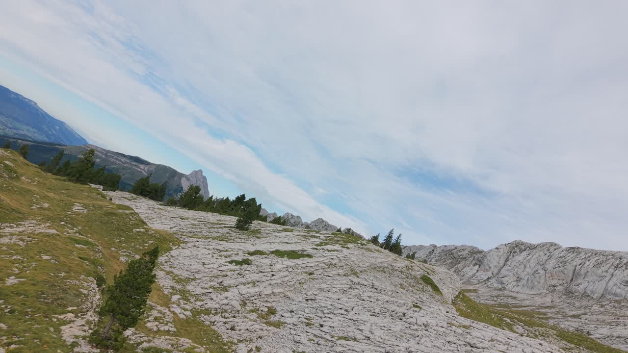 Vinklet luftlandskab af et stenet alpint plateau med spredte fyrretræer og fjerne bjergkamme i Frankrig.