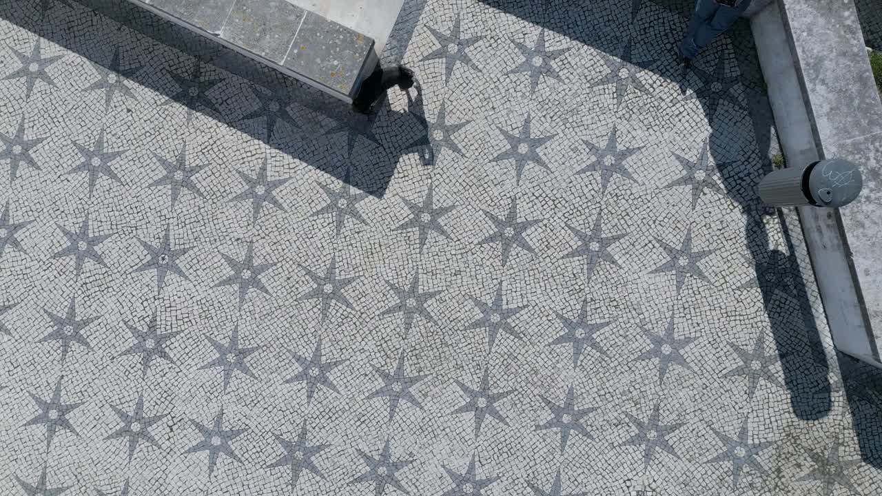 perro paseando en la acera histórica de lisboa vista desde arriba
