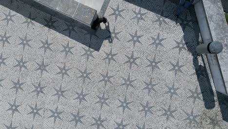 dog walking on lisbon's historic sidewalk viewed from above