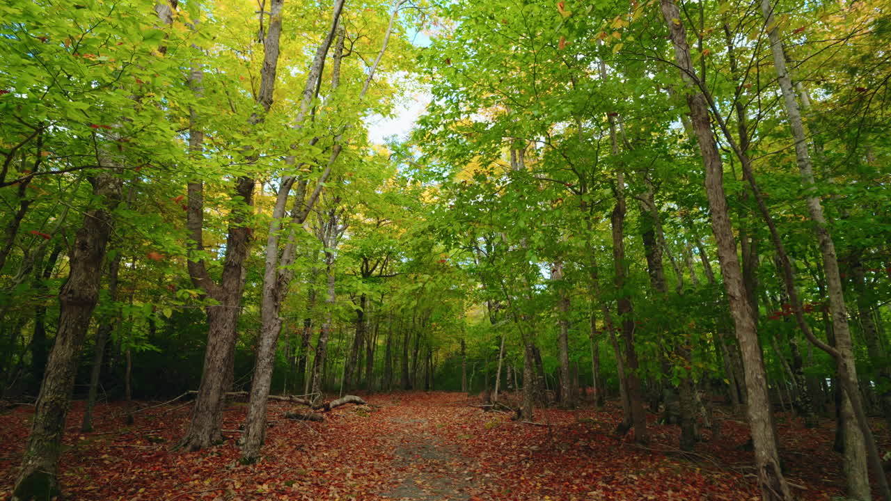 Walking around the forest trails in the Kejimkujik National Park, Nova Scotia, Canada.