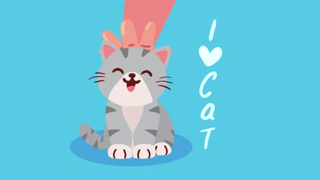 cute little gray cat mascot animation