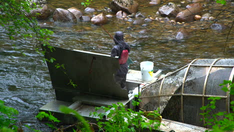 Trampa-De-Tornillo-Rotatorio-Para-Peces-En-La-Corriente