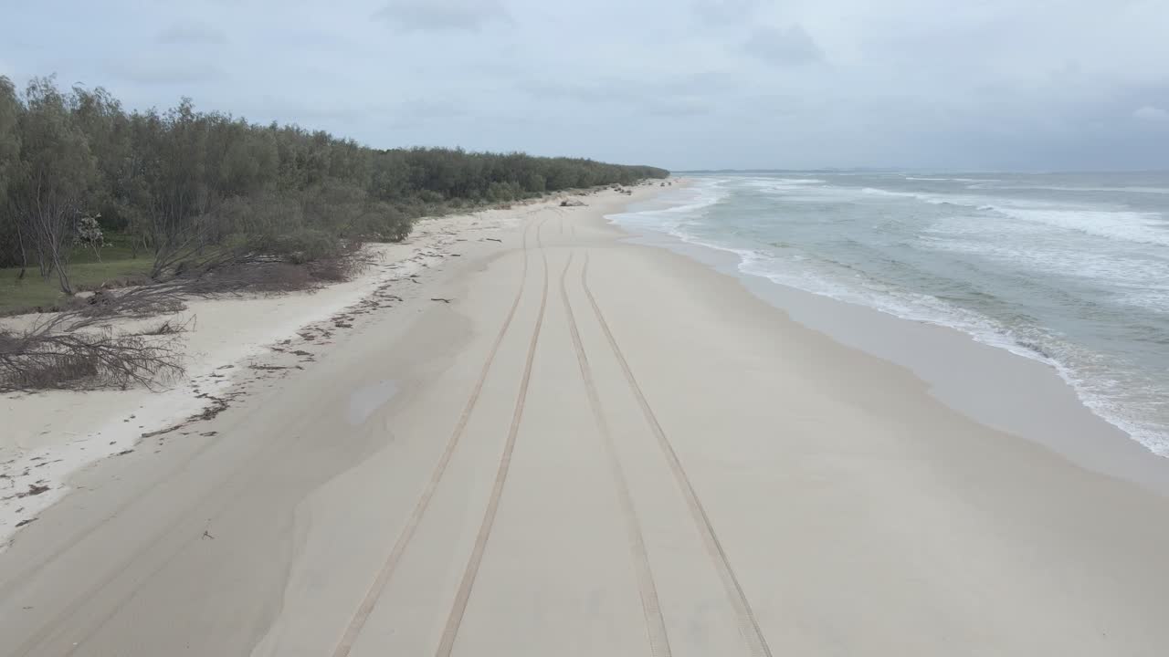 a, 여자, 입고 있는 것, 수영복, 걷는 것, 통하고 있는, 모래 사장, 해안선, 에서, 북쪽, stradbroke, 섬, moreton, 만, 퀸즐랜드, australia