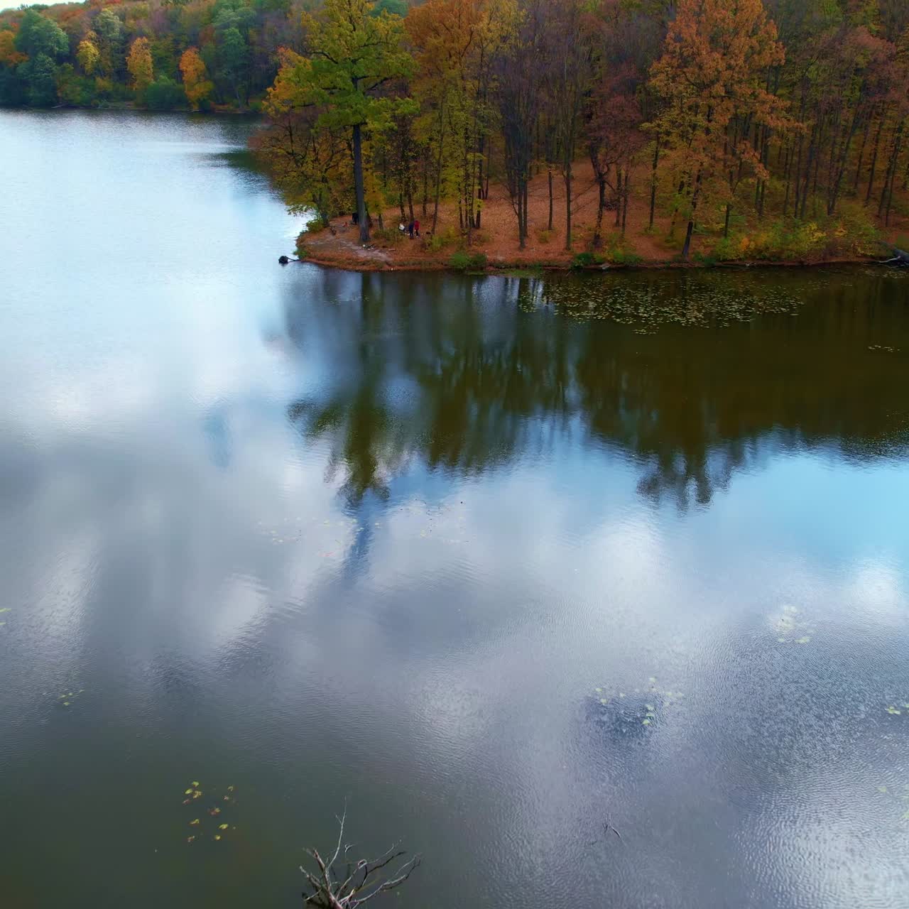 Curved banks of the narrow river overgrown with trees. Beautiful colors of nature on autumn season. Aerial view