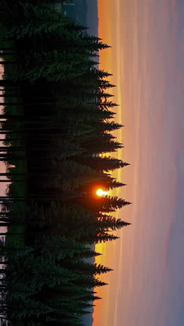 puesta de sol a través de los árboles