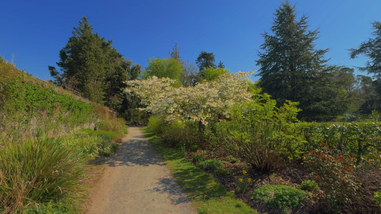 Ireland gardens and walk in Russborough House Wicklow spring vibrant growth and beautiful walk epic location