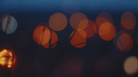 luces bokeh detrás de las ramas balanceadas por la noche