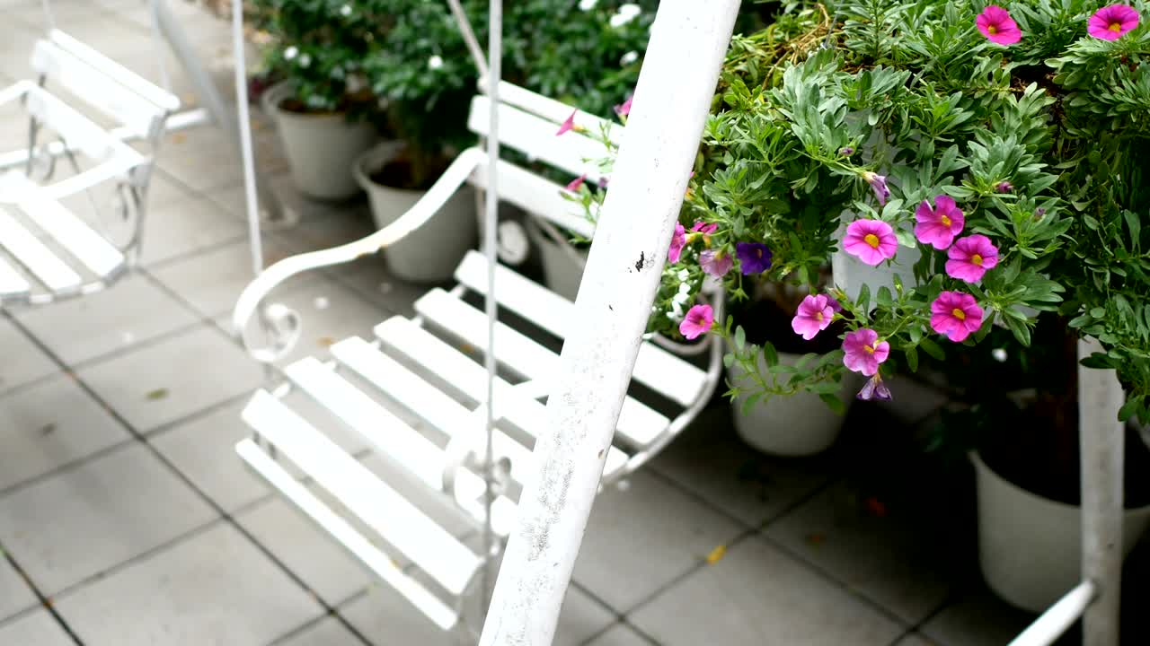 4k. dos columpios blancos vacíos balanceándose en un jardín verde con hermosas flores rosadas para relajarse
