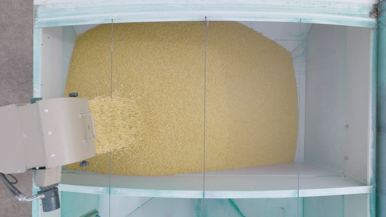 위 아래, 씨 ⁇ 을  ⁇ 고 있는 씨 ⁇  텐더