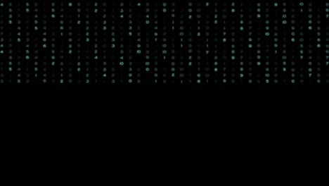 Black background with numbers data in 4k video.