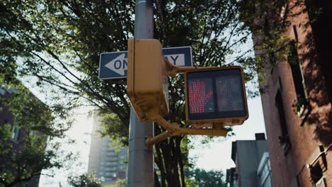 new york signs. pedestrian stop light