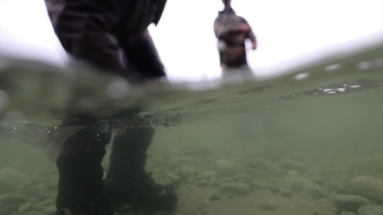 낚시 가이드가 수중에서 송어를 꺼내 손님에게 보여주기 위해 물 밖으로 들어 올립니다.