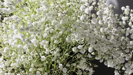 gypsophila graceful on table, white flowers close-up with a blurred background at home. natural background for design or as texture. summer plants.