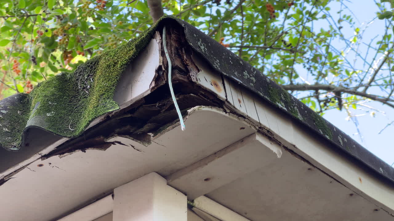 Damaged house roof corner with moss and lichen, rotting fascia and soffit, showing neglect, leak risk and repair needs