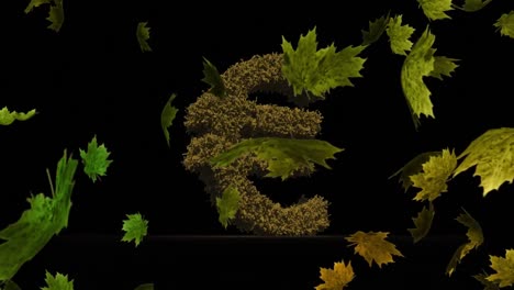 animation of leaves falling over green euro currency sign on black background