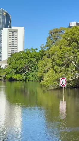 peaceful river scene with city skyline backdrop