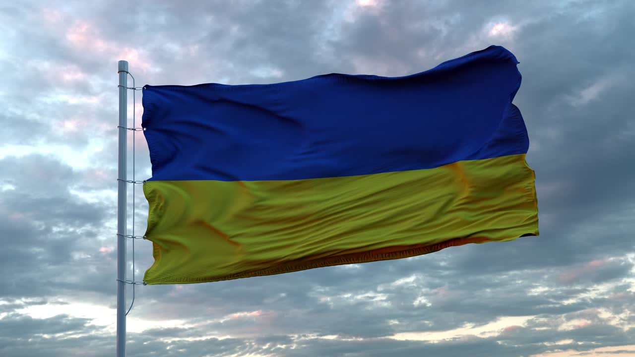 우크라이나의 현실적인 발은 깊은 극적인 하늘을 대비하여 바람에 흔들리고 있습니다. 4k uhd 60fps 느린 동작.