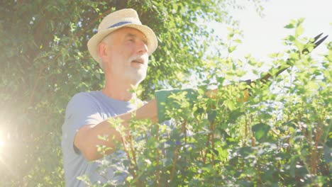 Video-Von-Blauen-Lichtern-über-Einem-Kaukasischen-Mann,-Der-Im-Garten-Arbeitet