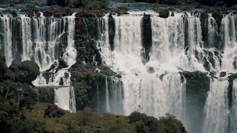 birds flying in front of iguazu falls in parana, brazil