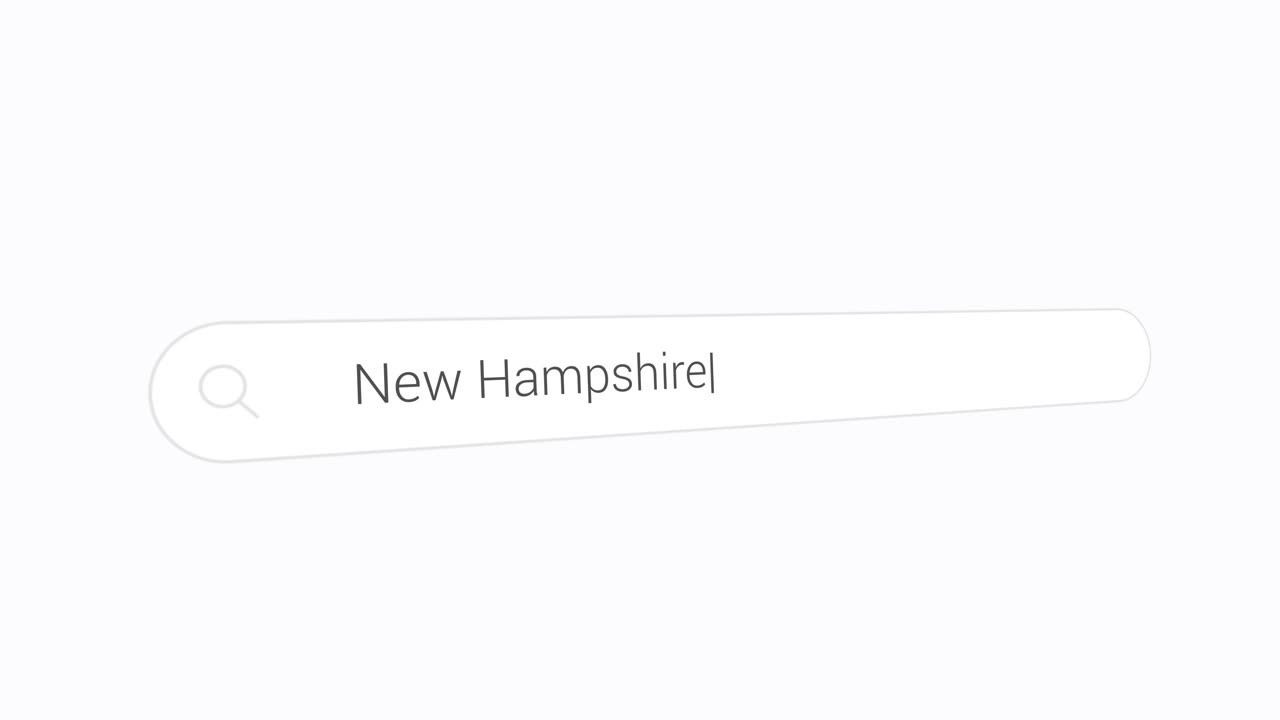 Entering New Hampshire In Computer Search Bar - US State In New England. closeup shot