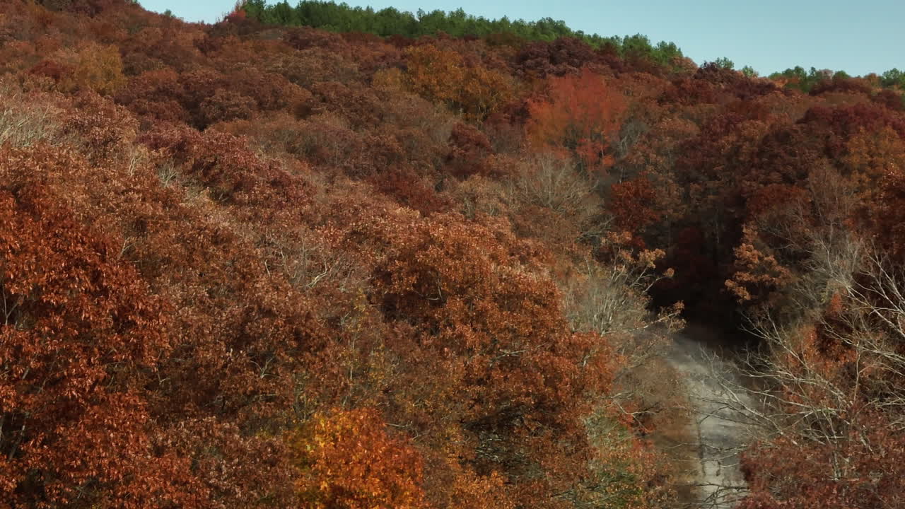carretera entre el hermoso bosque de otoño colorido en ar, ee.uu. - fotografía aérea