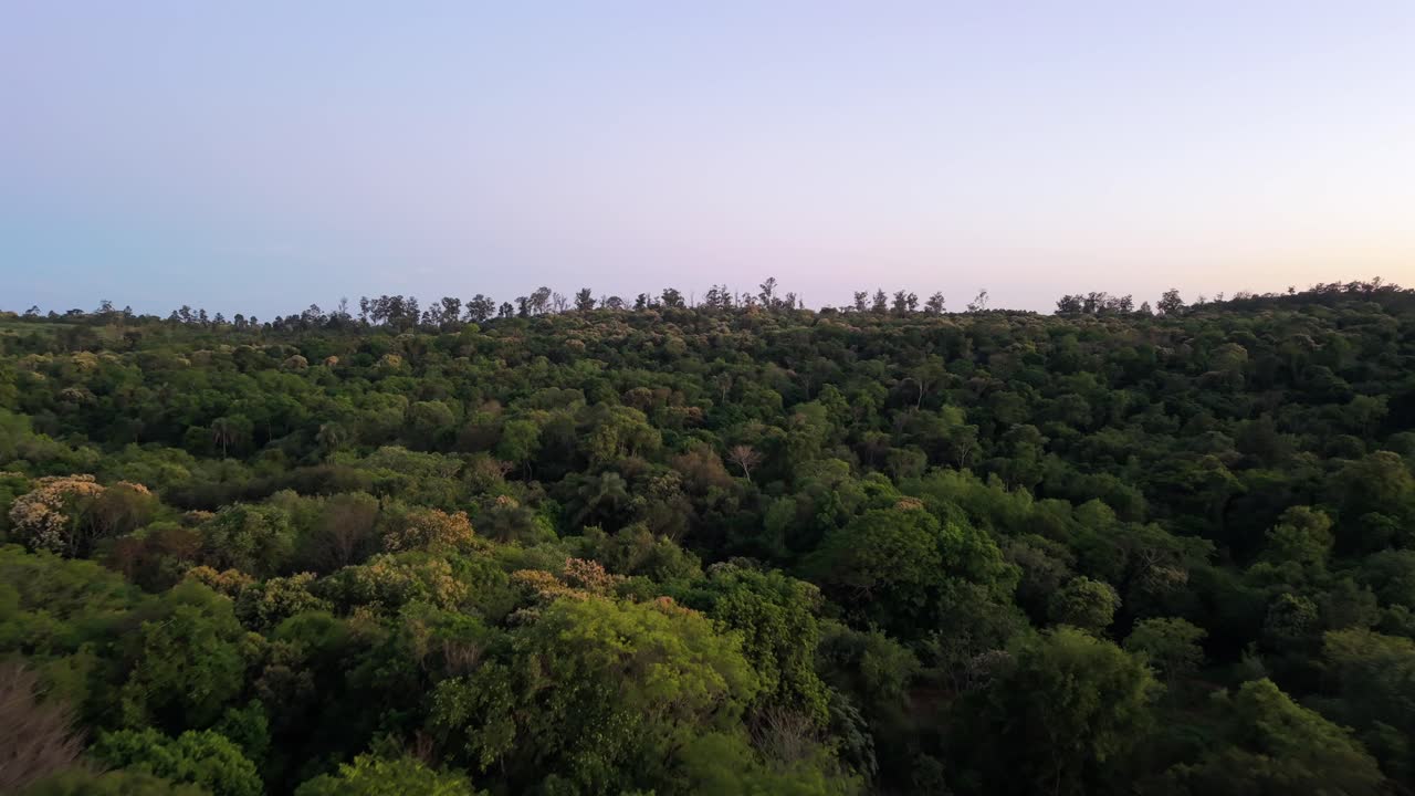 Peaceful sunset scene overlooks the verdant forests of Misiones, Argentina, where dusk colors soften the landscape under a clear sky