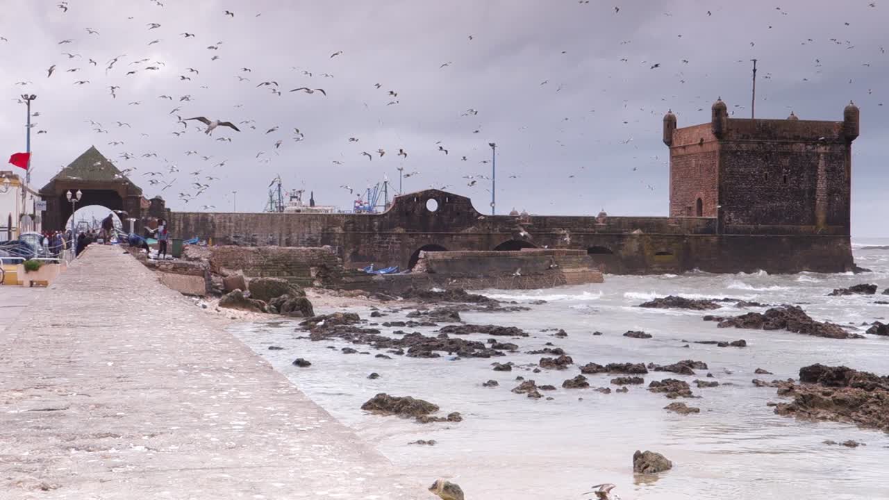 cámara lenta de la costa y el área portuaria de essaouira, marruecos con el cielo lleno de gaviotas flotando en la brisa