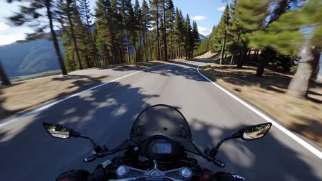 motorcycle ride through scenic mountain forest