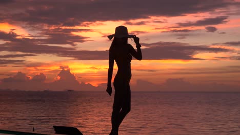 Woman-posting-by-the-poolside-with-twilight-background,-Silhouette-shot