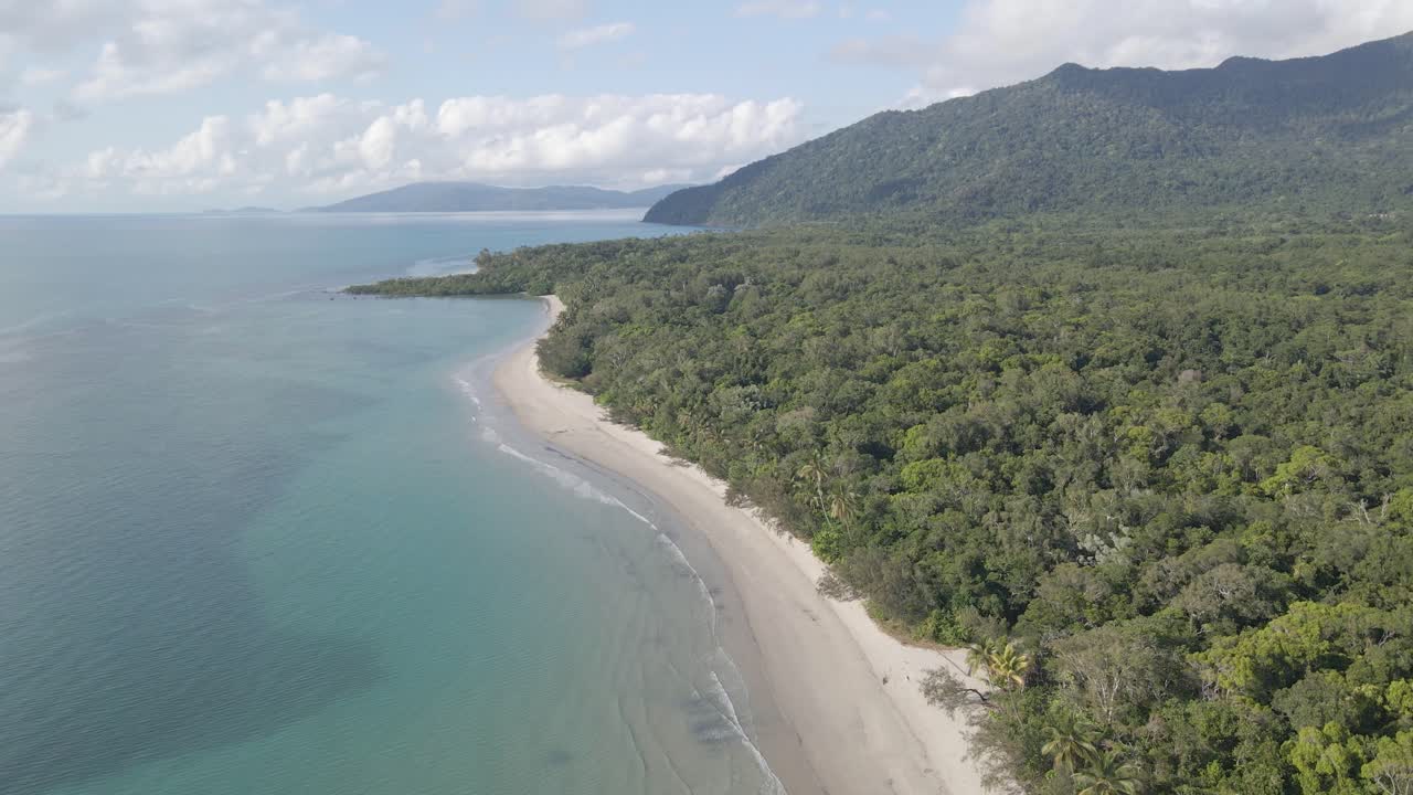 bosque costero con árboles frondosos - myall beach en cape tribulation en queensland, australia