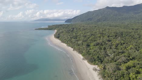 seaside forest with lush trees - myall beach at cape tribulation in queensland, australia