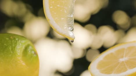 fresh fruit concept, water drop pouring from slice of fresh lemon, super slow motion close up