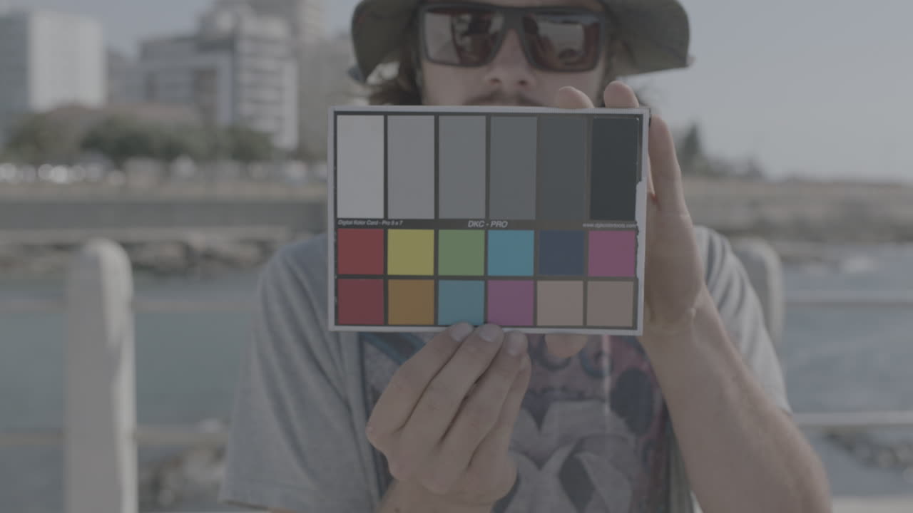 Catálogo de colores