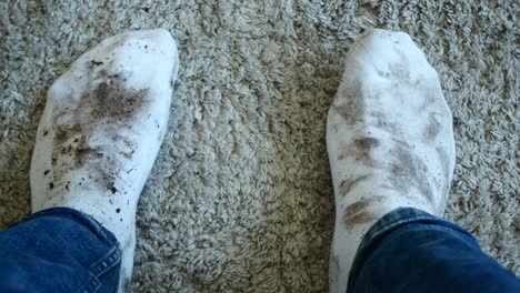 dirty socks on a carpet