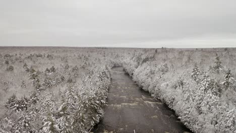 winter aerial of tahquamenon falls state park