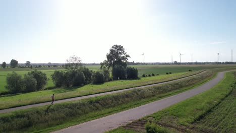 aerial following and approach of a trail runner training exercise with sustainable energy electricity windmills on the horizon in dutch river ijssel landscape with floodplains against a blue sky