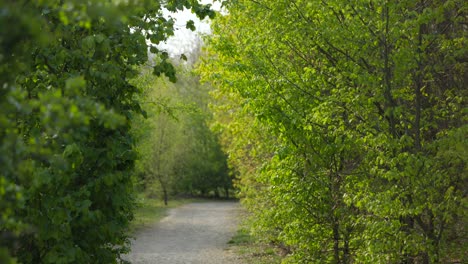 Woman-drives-by-camera-on-a-gravel-path-using-an-e-scooter,-rear-view